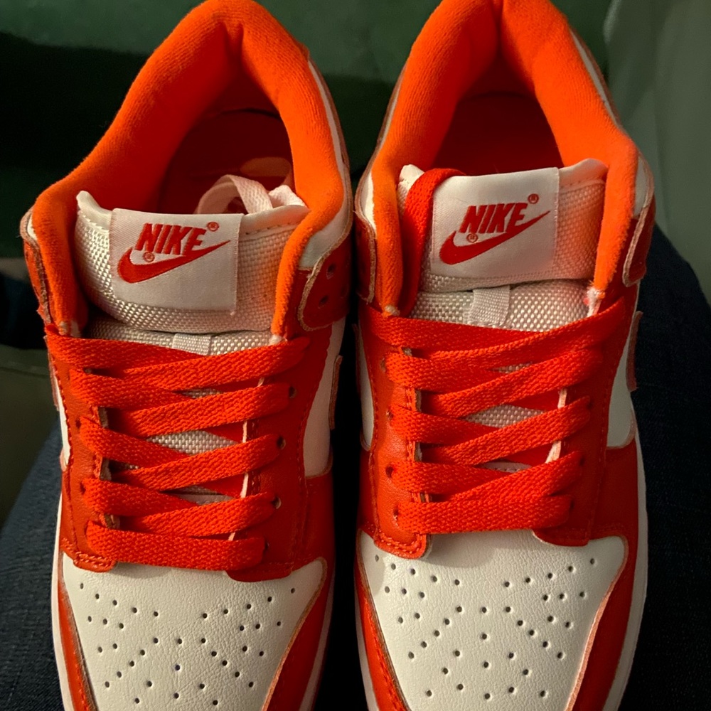 Low dunks SB new no box but never been worn
